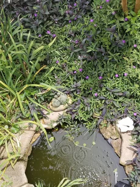 istock Tranquil Home Outdoor Spot 1223847667