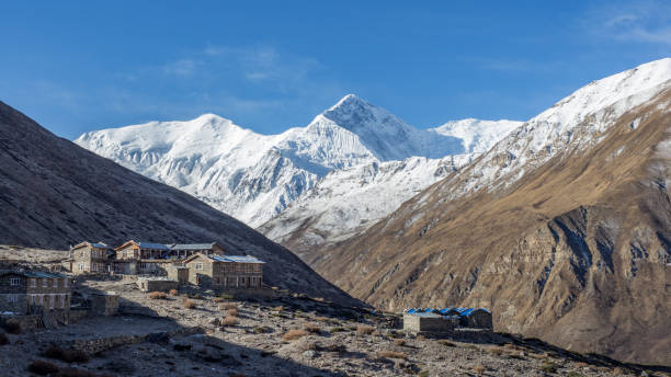 istock On the way to Thorung Phedi 1223847965