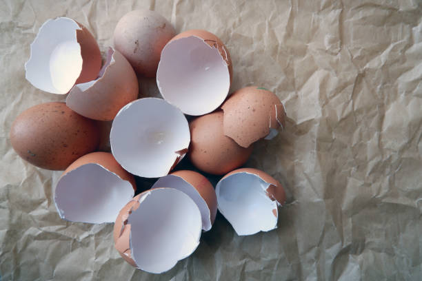 Broken chicken eggshells on brown background. Broken chicken eggshells on brown background. Empty broken chicken brown eggs. eggshell stock pictures, royalty-free photos & images
