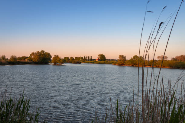 istock The floodplain near the rain river 