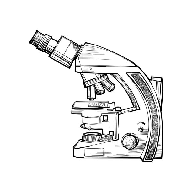 벡터 형식의 낙서 스타일 과학자 현미경 - microscope slide stock illustrations