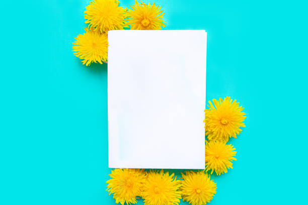 istock White mockup blank and yellow blooming dandelions on bright green  background. Springtime concept. Copy space for the text 1223855470