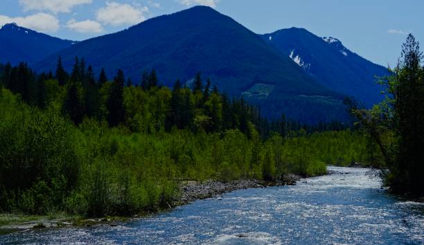 istock The Sacred Suiattle River 1223857233