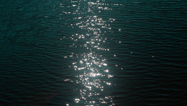 istock texture ripples lake with light from sun background 1223857271