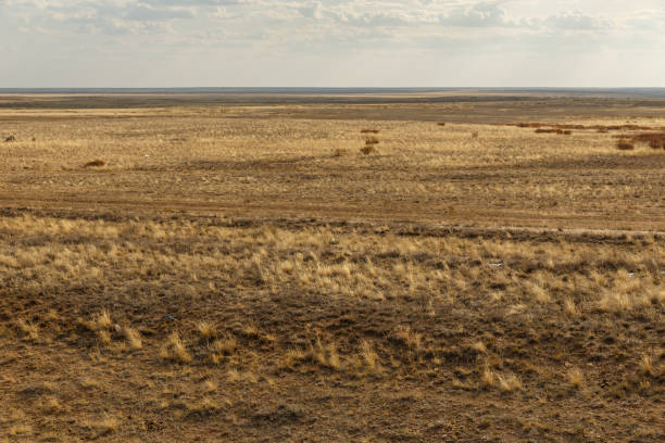 istock The Kazakhstan steppes 1223857462
