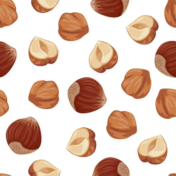 Vector illustration of Hazelnuts seamless pattern. Nuts on a white background. Vector illustration of organic food in cartoon flat style.