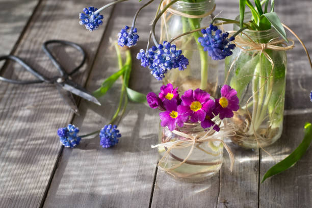 istock Spring flowers in bottles on wooden table 1223858550