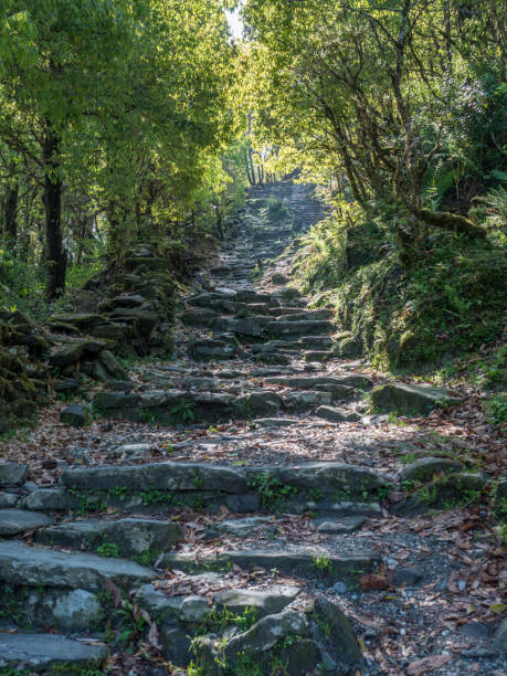 On the Poon Hill trek