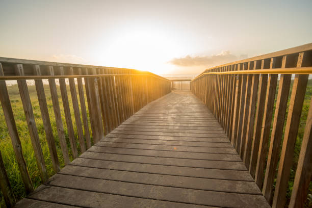 istock Low Angle View of Sunrise On the Horizon from Beach Board Walk 1223861340