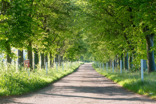 istock Eynsford in Kent, England 1223865958
