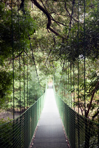 istock Suspension bridge diminishing perspective. 1223867493