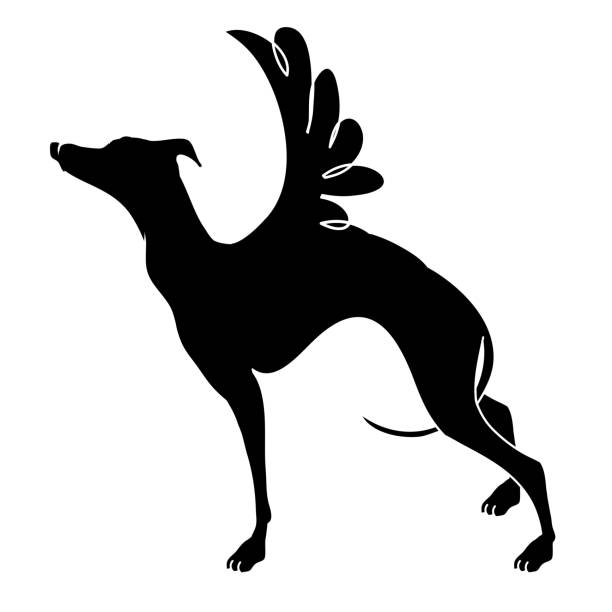 翼を持つ犬。手で描かれたベクトルイラスト。 - italian greyhound点の�イラスト素材／クリップアート素材／マンガ素材／アイコン素材