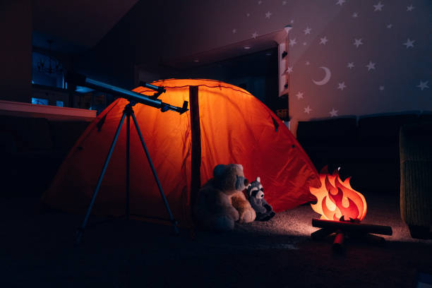 istock Boys Inside Tent Camping Indoors 1223871182