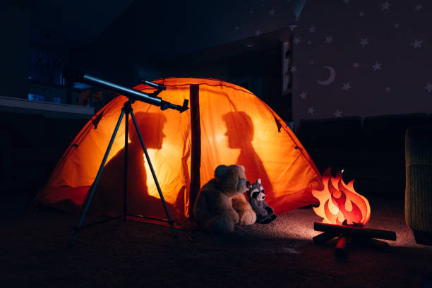 istock Boys Inside Tent Camping Indoors 1223871208