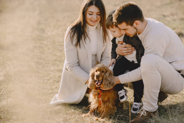 istock Stylish family walking on a spring field 1223879596