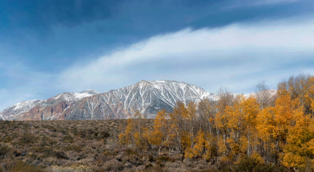 Panorama of Eastern Sierras during fall color