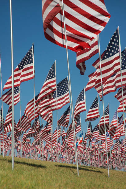 istock Red, White and Blue flags waving in the breeze 1223884136