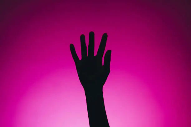 Photo of Silhouette of female hands isolated on a pink background.