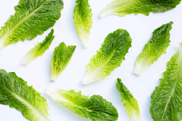istock Fresh romaine lettuce isolated on a white 1223885712