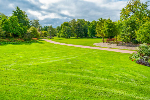 istock Gothenburg city park in summer 1223885784