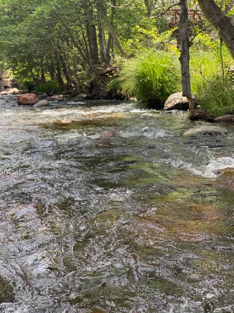 istock Summer in Sedona, during lockdown!! 1223891280