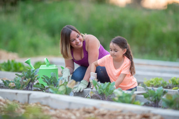 istock Mother and daughter gardening 1223894118