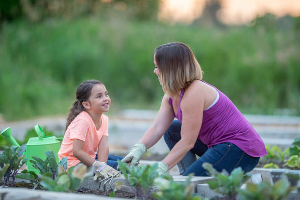 istock Mother and daughter gardening 1223894122