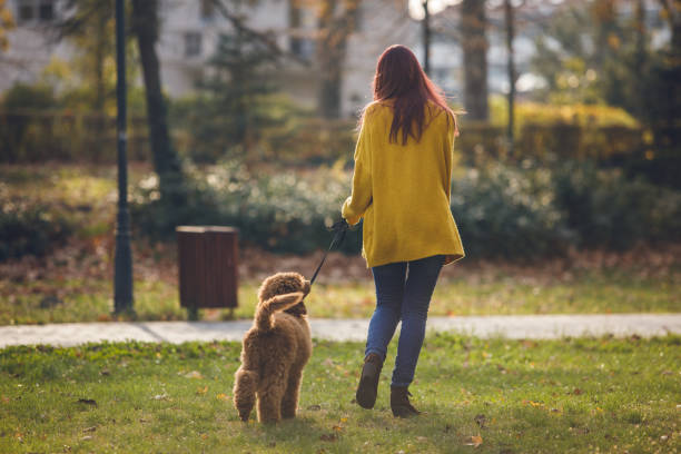 istock Enjoying running in a park with my best friend 1223895907