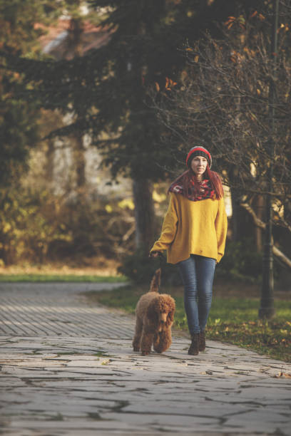 istock Afternoon relaxing walk with my dog 1223895911