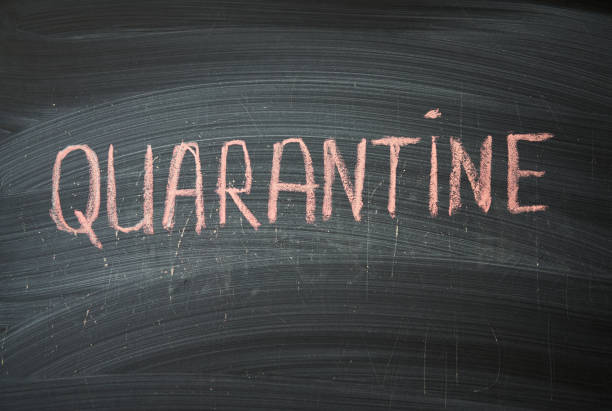 istock Outbreak Warning. written white chalk on blackboard in connection with epidemic of coronavirus worldwide. 1223895975