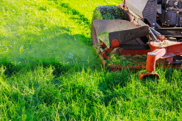 istock Close up of cutting grass with using petrol lawn mower 1223897270