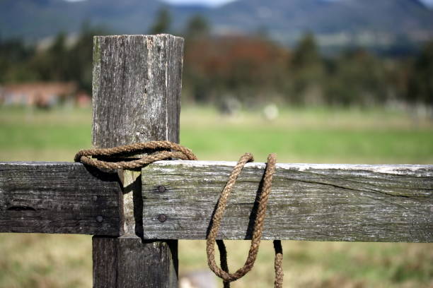 Old rope tied in a farm's fence