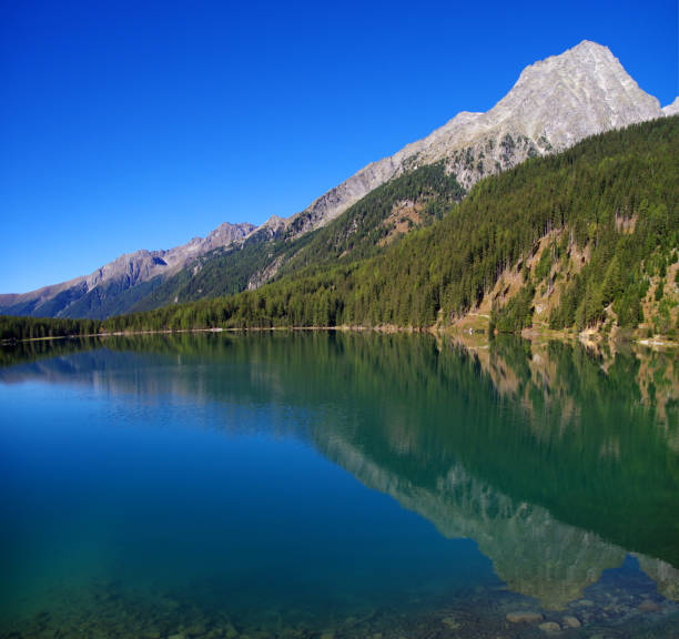 istock bright blue mountain lake under blue sky with woods, stones and snow 1223902363
