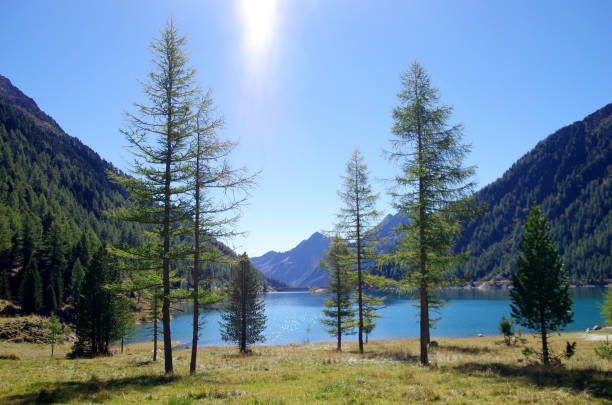 istock bright blue mountain lake under blue sky with woods, stones and snow 1223902402