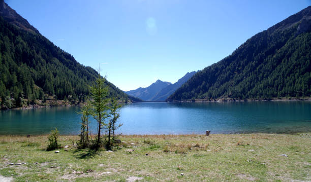 istock bright blue mountain lake under blue sky with woods, stones and snow 1223902422