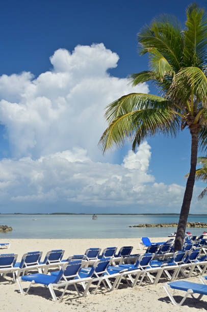 istock Lounge chairs at the beach 1223906237