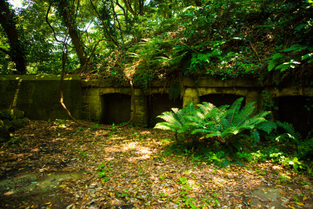 istock A quiet ruin in the green light 1223906245