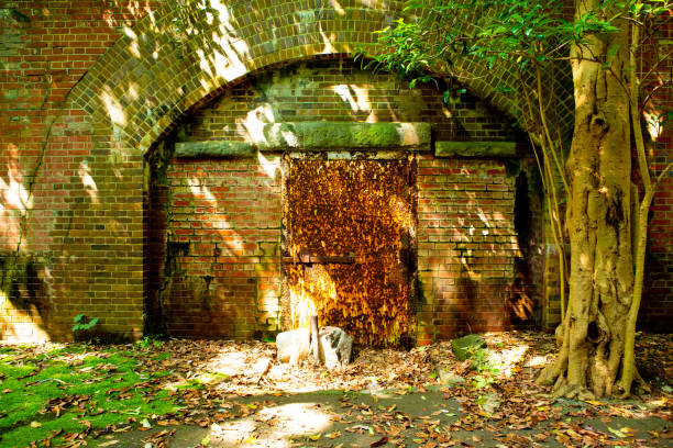 istock Rusty and grunge door of an old war facility 1223906267
