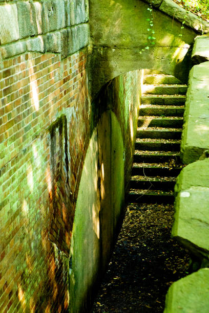 istock A quiet ruined staircase in the green light 1223906275