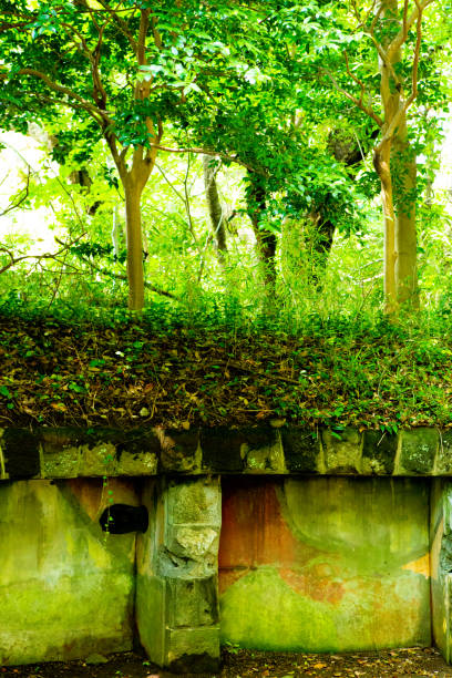 istock A quiet ruin in the green light 1223906283