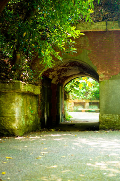istock A quiet ruin in the green light 1223906329