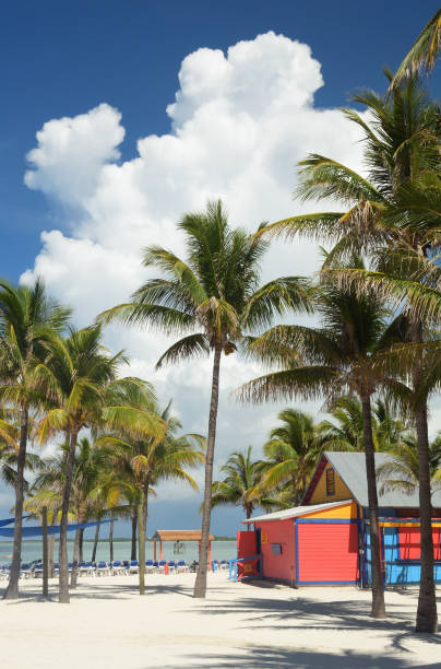 istock Colorful Building under Palm Tree and Big Cloud 1223906399
