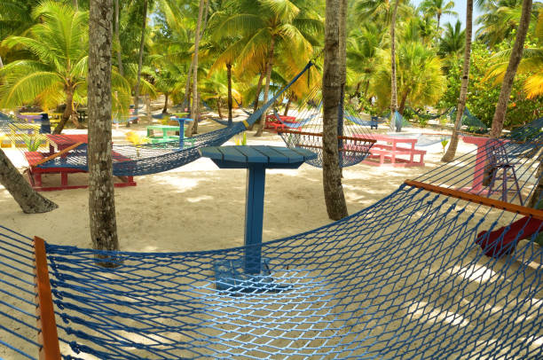 istock Hammock in the shade on the beach 1223906504
