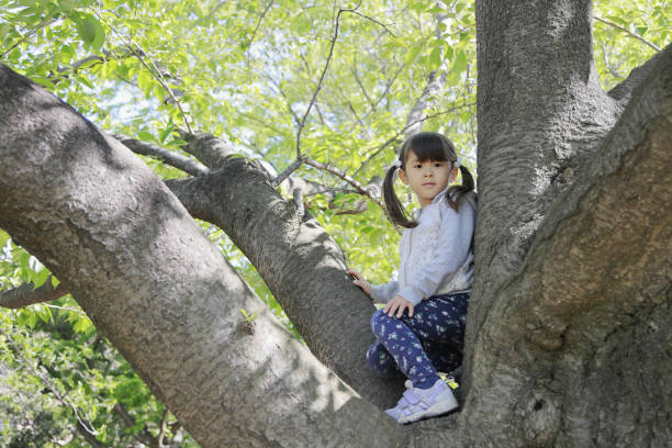 istock Japanese girl climbing the tree (5 years old) 1223908131