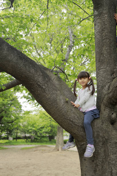istock Japanese girl climbing the tree (5 years old) 1223908208