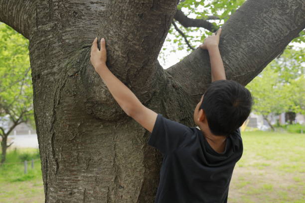 istock Japanese boy climbing the tree (fifth grade at elementary school) 1223910852