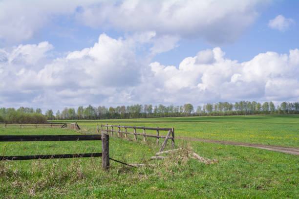 istock Damaged corral for farm animals among fields 1223911768