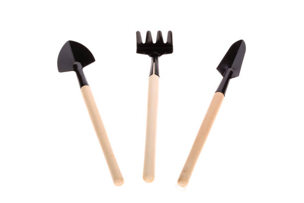 istock gardening utensils on white background 1223916940