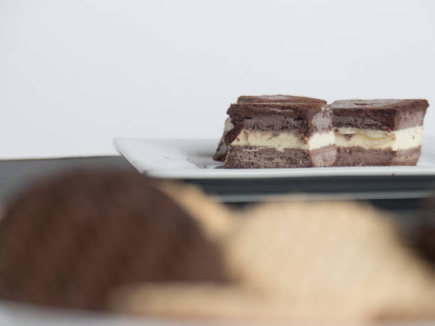 istock Homemade chocolate ice cream sandwiches cut into bite sized pieces 1223919475