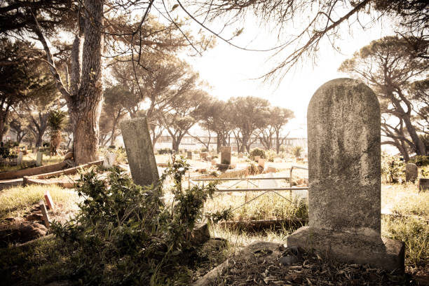 istock Misty graveyard and tombstones 1223923734